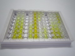 ELISA Kit for Plasminogen Activator, Urokinase Receptor (uPAR)