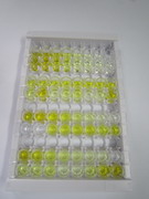 ELISA Kit for N-Terminal Pro-Brain Natriuretic Peptide (NT-ProBNP)