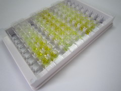 ELISA Kit for S100 Calcium Binding Protein A11 (S100A11)