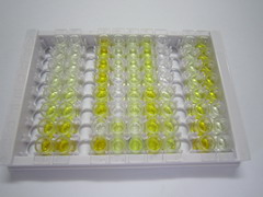 ELISA Kit for Cytochrome C (CYCS)