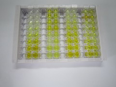 ELISA Kit for Apolipoprotein A2 (APOA2)