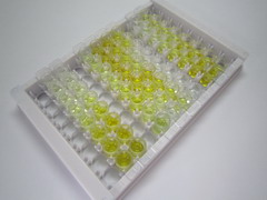 ELISA Kit for Carbonic Anhydrase II (CA2)