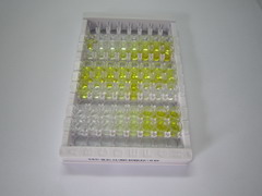 ELISA Kit for Heat Shock 70kDa Protein 1 Like Protein (HSPA1L)