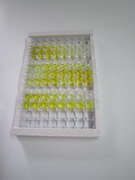 ELISA Kit for S100 Calcium Binding Protein A9 (S100A9)