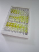 ELISA Kit for Arylalkylamine-N-Acetyltransferase (AANAT)
