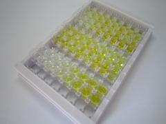ELISA Kit for Cytochrome P450 17A1 (CYP17A1)