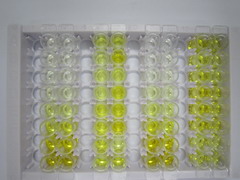 ELISA Kit for S100 Calcium Binding Protein A7 (S100A7)