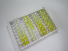 ELISA Kit for Growth Differentiation Factor 6 (GDF6)
