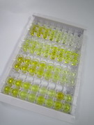 ELISA Kit for Collagen Type VII (COL7)