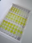 ELISA Kit for Nuclear Mitotic Apparatus Protein 1 (NUMA1)