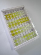 ELISA Kit for Carbonic Anhydrase VI (CA6)