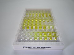 ELISA Kit for Surfactant Associated Protein G (SPG)