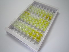 ELISA Kit for Neurofilament, Light Polypeptide (NEFL)