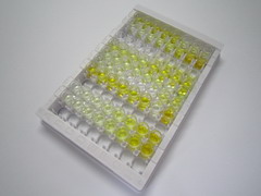 ELISA Kit for Homogentisate-1,2-Dioxygenase (HGD)