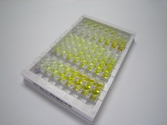 ELISA Kit for Excitatory Amino Acid Transporter 2 (EAAT2)