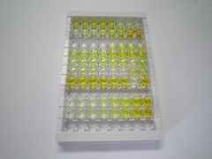 ELISA Kit for Potassium Chloride Cotransporters 1 (KCC1)