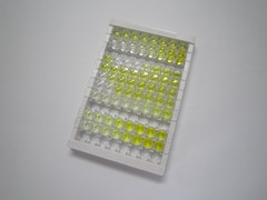 ELISA Kit for Cell Division Cycle Protein 42 (CDC42)