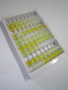 ELISA Kit for Interleukin 22 Receptor Alpha 2 (IL22Ra2)