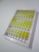 ELISA Kit for Immunoglobulin A2 (IgA2)