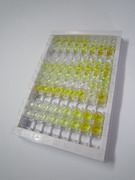 ELISA Kit for Immunoglobulin A1 (IgA1)