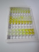 ELISA Kit for Annexin A3 (ANXA3)