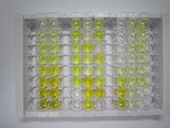 ELISA Kit for Carboxylesterase 2 (CES2)