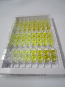 ELISA Kit for Carnitine Palmitoyltransferase 1A, Liver (CPT1A)