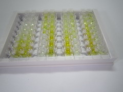 ELISA Kit for Peroxiredoxin 5 (PRDX5)
