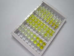 ELISA Kit for Peroxiredoxin 6 (PRDX6)