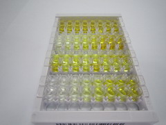 ELISA Kit for Secreted Frizzled Related Protein 4 (SFRP4)