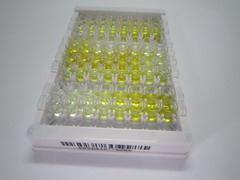 ELISA Kit for Hydroxyacylglutathione Hydrolase (HAGH)