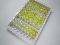 ELISA Kit for Chloride Channel Accessory 1 (CLCA1)