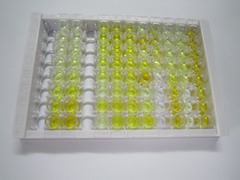 ELISA Kit for Hepatocyte Nuclear Factor 1 Alpha (HNF1a)