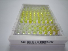 ELISA Kit for Uromodulin (UMOD)