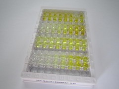 ELISA Kit for Sulfatase 2 (SULF2)