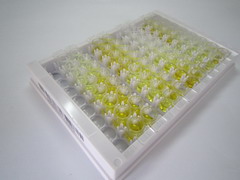 ELISA Kit for Protamine 1 (PRM1)