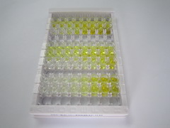 ELISA Kit for Pyruvate Carboxylase (PC)