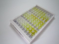 ELISA Kit for Hepatitis A Virus Cellular Receptor 2 (HAVCR2)