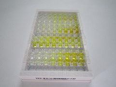 ELISA Kit for Catechol-O-Methyltransferase (COMT)
