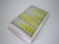 ELISA Kit for Cartilage Intermediate Layer Protein 2 (CILP2)