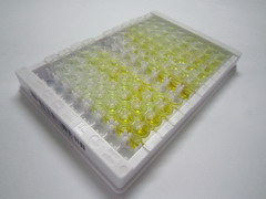 ELISA Kit for C1q And Tumor Necrosis Factor Related Protein 1 (C1QTNF1)