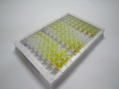 ELISA Kit for Dicer 1, Ribonuclease Type III (DICER1)