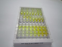 ELISA Kit for Programmed Cell Death Protein 5 (PDCD5)