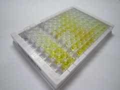 ELISA Kit for High Temperature Requirement Factor A1 (HTRA1)