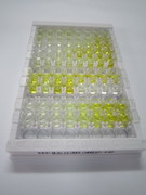 ELISA Kit for NADH Dehydrogenase, Quinone 1 (NQO1)