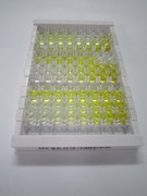 ELISA Kit for Protein L-Isoaspartate-O-Methyltransferase (PCMT1)