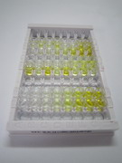 ELISA Kit for Serum Deprivation Response Protein (SDPR)