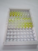 ELISA Kit for Ghrelin-O-Acyltransferase (GOAT)