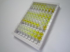 ELISA Kit for Histone Cluster 1, H4a (HIST1H4A)