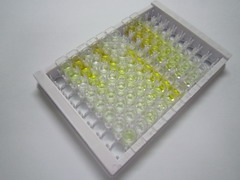 ELISA Kit for Bcl2 Like Protein 11 (BCL2L11)